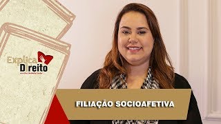 Explica Direito Filiação Socioafetiva  2019 [upl. by Refynnej553]