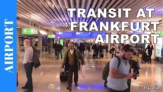 TRANSIT WALK AT FRANKFURT Airport FRA Terminal 1  Connection Flight Transfer Arriving amp Departing [upl. by Marguerite]